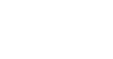 The Japan Foundation